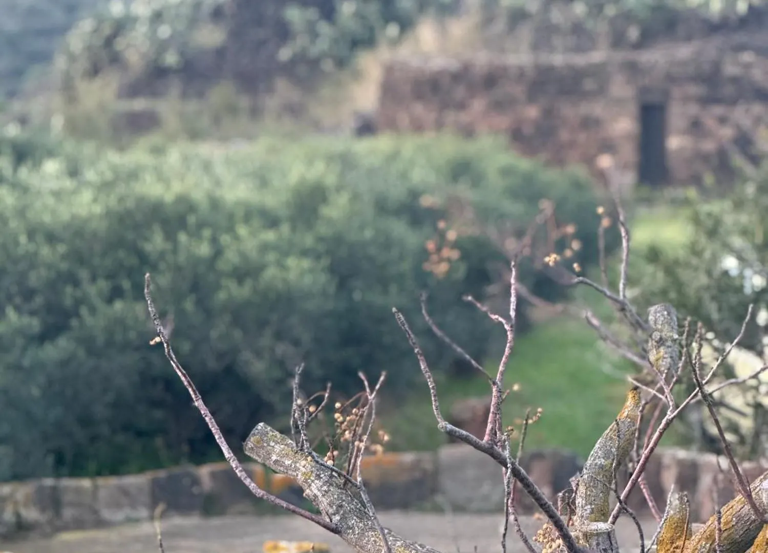 Apartmán Al Palazzotto Pantelleria